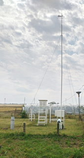 ���.������ �������